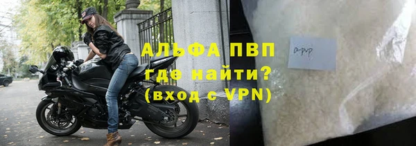 стаф Аркадак