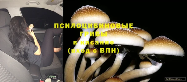 эйфоретик Арсеньев