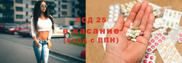 стаф Аркадак