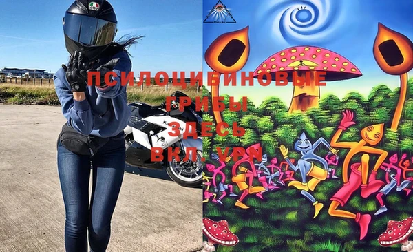 мяу мяу мука Армянск
