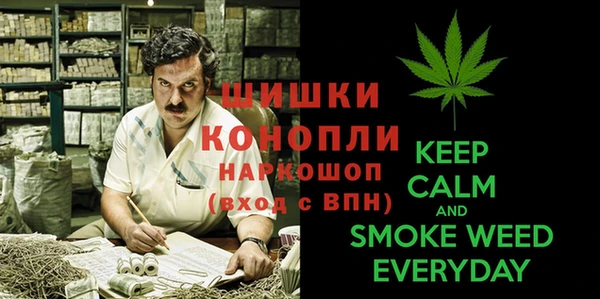 стаф Аркадак