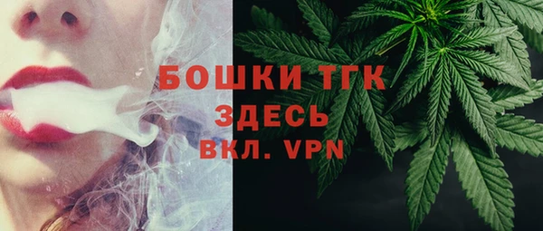 стаф Аркадак