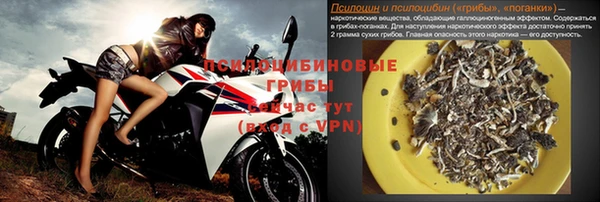 эйфоретик Арсеньев