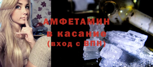 стаф Аркадак