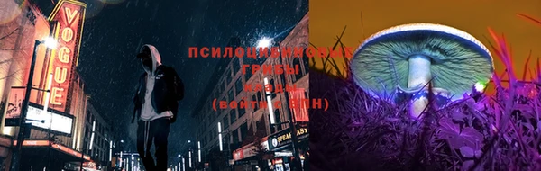эйфоретик Арсеньев
