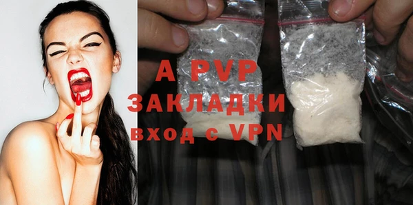 стаф Аркадак