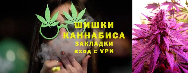 стаф Аркадак